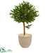 Silk Plants Direct Olive Topiary Artificial Tree - Pack of 1