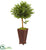 Silk Plants Direct Olive Topiary Artificial Tree - Pack of 1