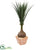 Silk Plants Direct Yucca Artificial Plant - Pack of 1