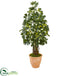 Silk Plants Direct Schefflera Artificial Tree - Pack of 1
