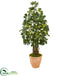 Silk Plants Direct Schefflera Artificial Tree - Pack of 1