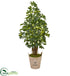 Silk Plants Direct Schefflera Artificial Tree - Pack of 1