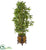 Silk Plants Direct Bamboo Artificial Tree - Pack of 1