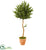 Silk Plants Direct Olive Topiary Artificial Tree - Pack of 1