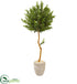 Silk Plants Direct Olive Topiary Artificial Tree - Pack of 1