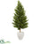 Silk Plants Direct Olive Cone Topiary Artificial Tree - Pack of 1