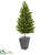 Silk Plants Direct Olive Cone Topiary Artificial Tree - Pack of 1