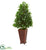 Silk Plants Direct Bay Leaf Artificial Topiary Tree - Pack of 1