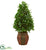 Silk Plants Direct Bay Leaf Cone Topiary Artificial Tree - Pack of 1