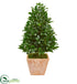 Silk Plants Direct Bay Leaf Cone Topiary Artificial Tree - Pack of 1