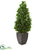 Silk Plants Direct Bay Leaf Cone Topiary Artificial Tree UV Resistant - Pack of 1