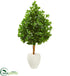 Silk Plants Direct Evergreen Artificial Tree - Pack of 1