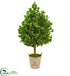Silk Plants Direct Evergreen Artificial Tree - Pack of 1
