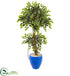 Silk Plants Direct Variegated Ficus Artificial Tree - Pack of 1