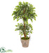 Silk Plants Direct Variegated Ficus Artificial Tree - Pack of 1