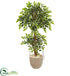 Silk Plants Direct Variegated Ficus Artificial Tree - Pack of 1