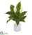 Silk Plants Direct Spathifyllum Artificial Plant - Pack of 1