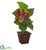 Silk Plants Direct Anthurium Artificial Plant - Pack of 1