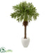 Silk Plants Direct Robellini Palm Artificial Tree - Pack of 1