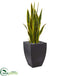 Silk Plants Direct Sansevieria Artificial Plant - Pack of 1