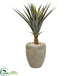 Silk Plants Direct Agave Succulent Artificial Plant - Pack of 1