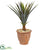 Silk Plants Direct Agave Succulent Artificial Plant - Pack of 1