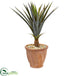 Silk Plants Direct Agave Succulent Artificial Plant - Pack of 1