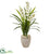 Silk Plants Direct Cymbidium Orchid Artificial Plant - Pack of 1