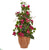 Silk Plants Direct Bougainvillea Artificial Climbing Plant - Pack of 1