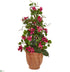 Silk Plants Direct Bougainvillea Artificial Climbing Plant - Pack of 1