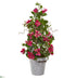 Silk Plants Direct Bougainvillea Artificial Climbing Plant - Pack of 1