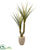 Silk Plants Direct Yucca Artificial Plant - Pack of 1
