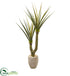 Silk Plants Direct Yucca Artificial Plant - Pack of 1