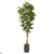 Silk Plants Direct Fig Artificial Tree - Pack of 1