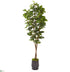 Silk Plants Direct Fig Artificial Tree - Pack of 1