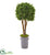 Silk Plants Direct Boxwood Artificial Topiary Tree - Pack of 1