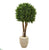 Silk Plants Direct Boxwood Artificial Topiary Tree - Pack of 1