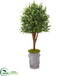 Silk Plants Direct Eucalyptus Artificial Tree - Pack of 1