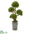 Silk Plants Direct Triple Ball Boxwood Artificial Topiary Tree - Pack of 1