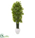 Silk Plants Direct Bamboo Artificial Tree with Green Trunks - Pack of 1