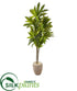 Silk Plants Direct Dracaena Artificial Plant in Sand Colored Planter - Pack of 1