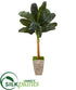 Silk Plants Direct Banana Artificial Tree - Pack of 1