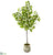 Silk Plants Direct Lemon Artificial Tree - Pack of 1