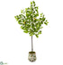 Silk Plants Direct Lemon Artificial Tree - Pack of 1