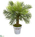 Silk Plants Direct Robellini Palm Artificial Tree - Pack of 1