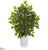 Silk Plants Direct Mini Ficus Artificial Tree - Pack of 1