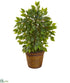 Silk Plants Direct Mini Ficus Artificial Tree - Pack of 1