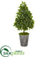 Silk Plants Direct Sweet Bay Cone Topiary Artificial Tree - Pack of 1