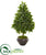 Silk Plants Direct Sweet Bay Cone Topiary Artificial Tree - Pack of 1