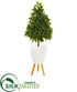 Silk Plants Direct Sweet Bay Cone Topiary Artificial Tree - Pack of 1